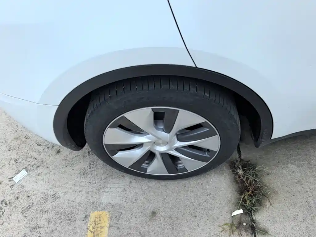 Tesla Model Y — фото 21