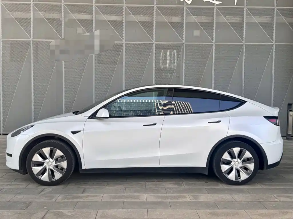Tesla Model Y — фото 23