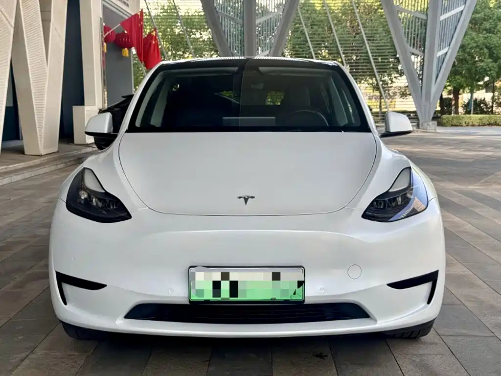 Tesla Model Y — фото 24