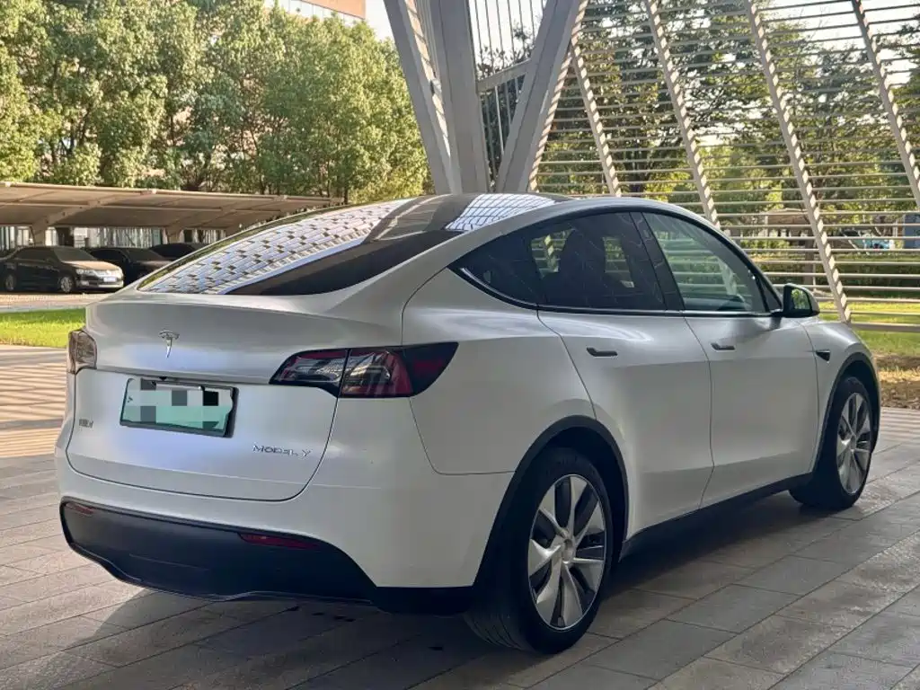 Tesla Model Y — фото 25