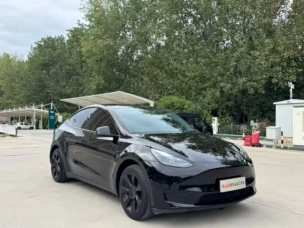 Tesla Model Y — фото 3