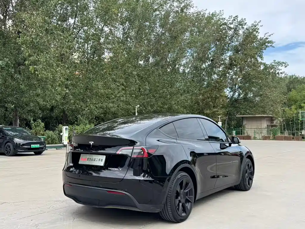 Tesla Model Y — фото 4