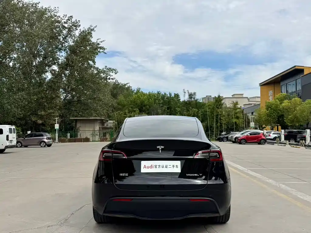 Tesla Model Y — фото 5