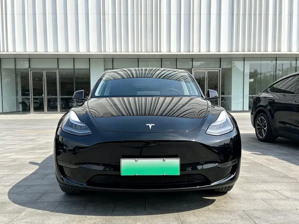 Tesla Model Y — фото 2