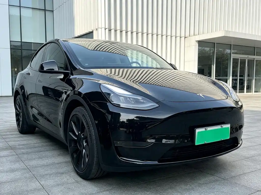 Tesla Model Y — фото 3