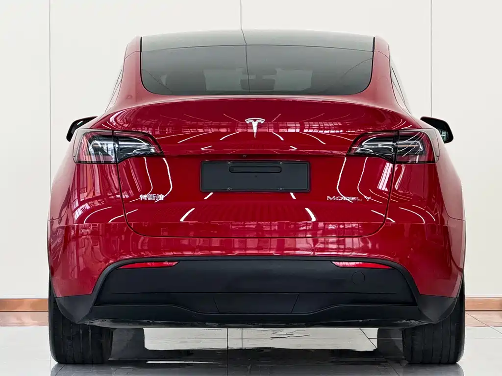 Tesla Model Y — фото 3