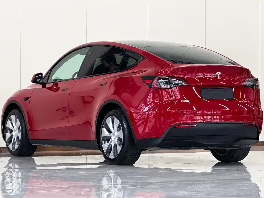 Tesla Model Y — фото 4