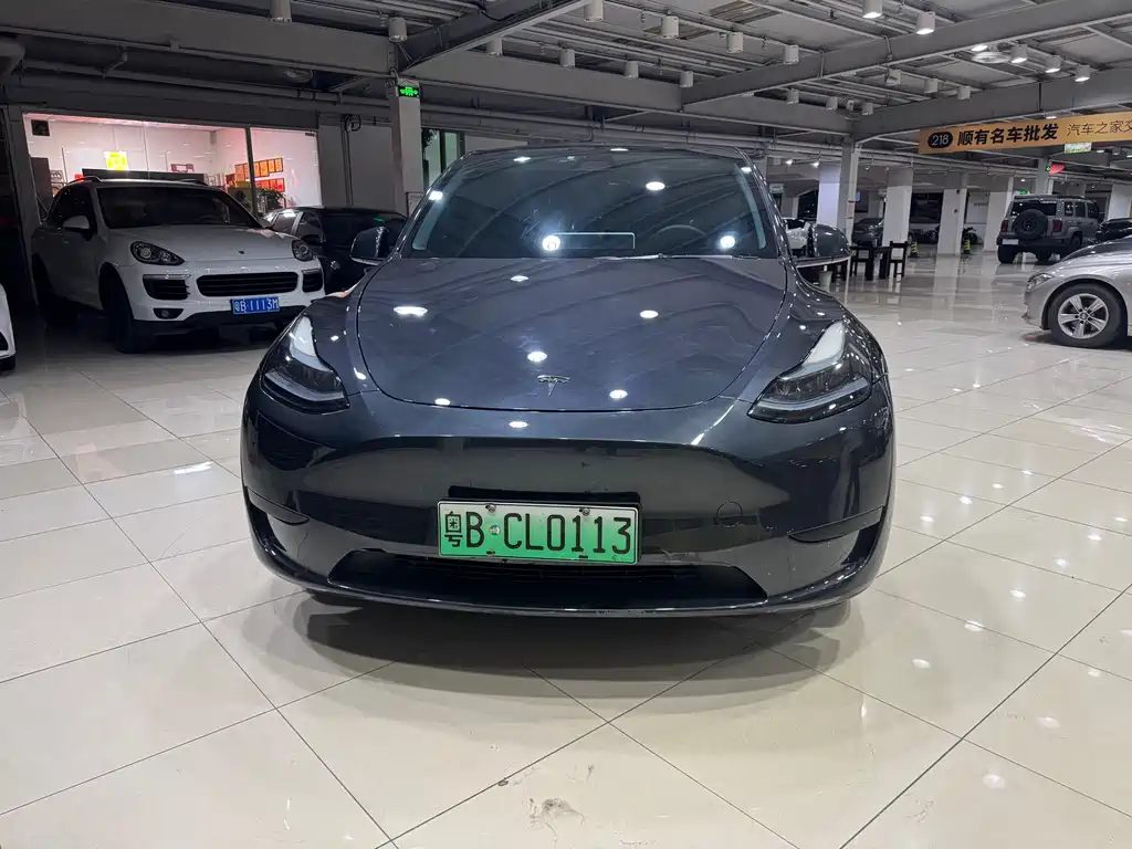 Tesla Model Y — фото 2