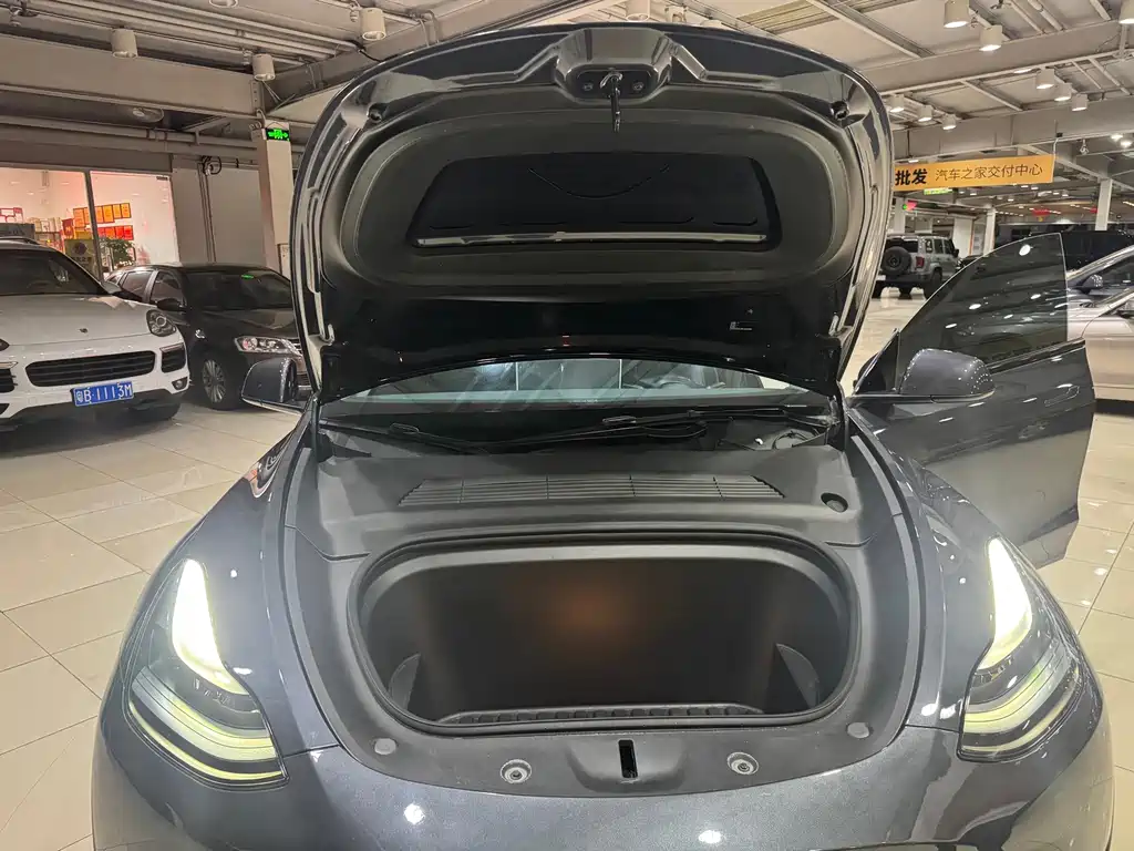 Tesla Model Y — фото 14