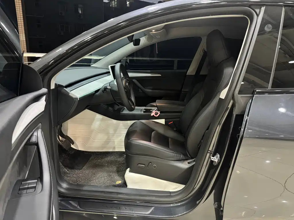Tesla Model Y — фото 6