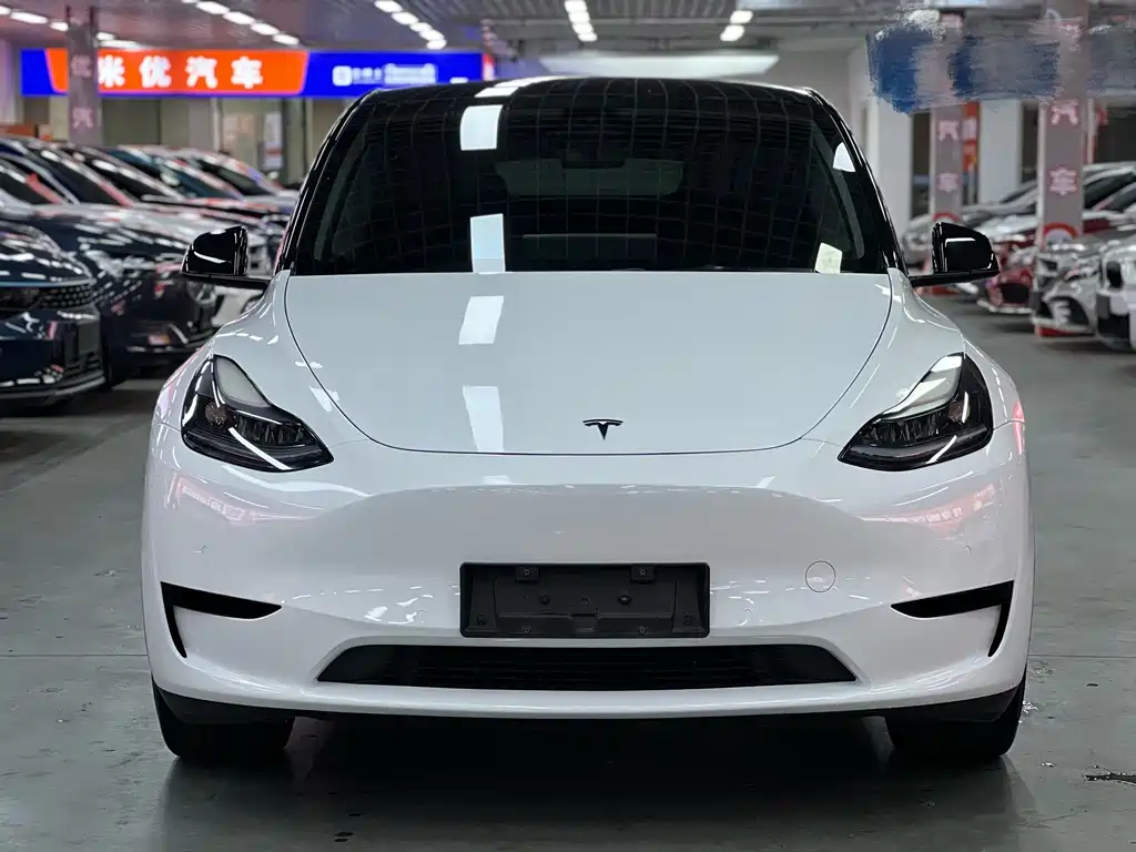 Tesla Model Y — фото 2