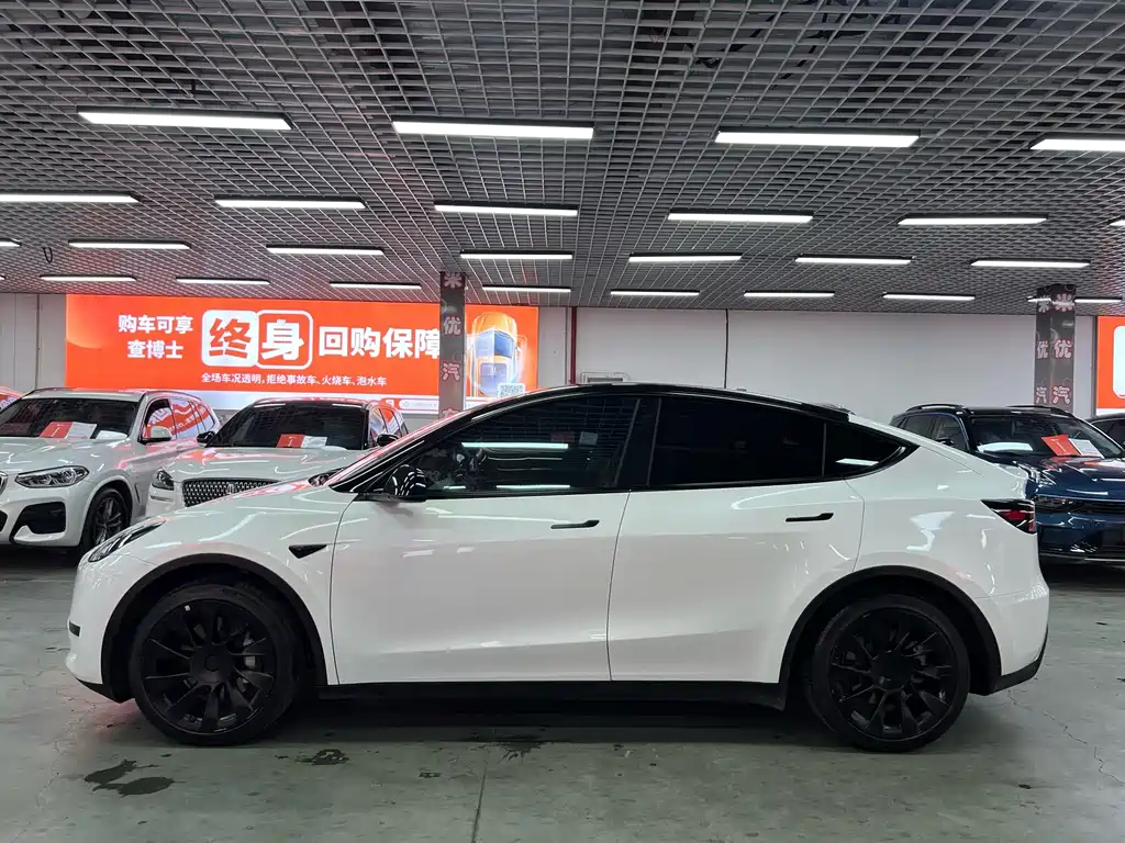 Tesla Model Y — фото 3