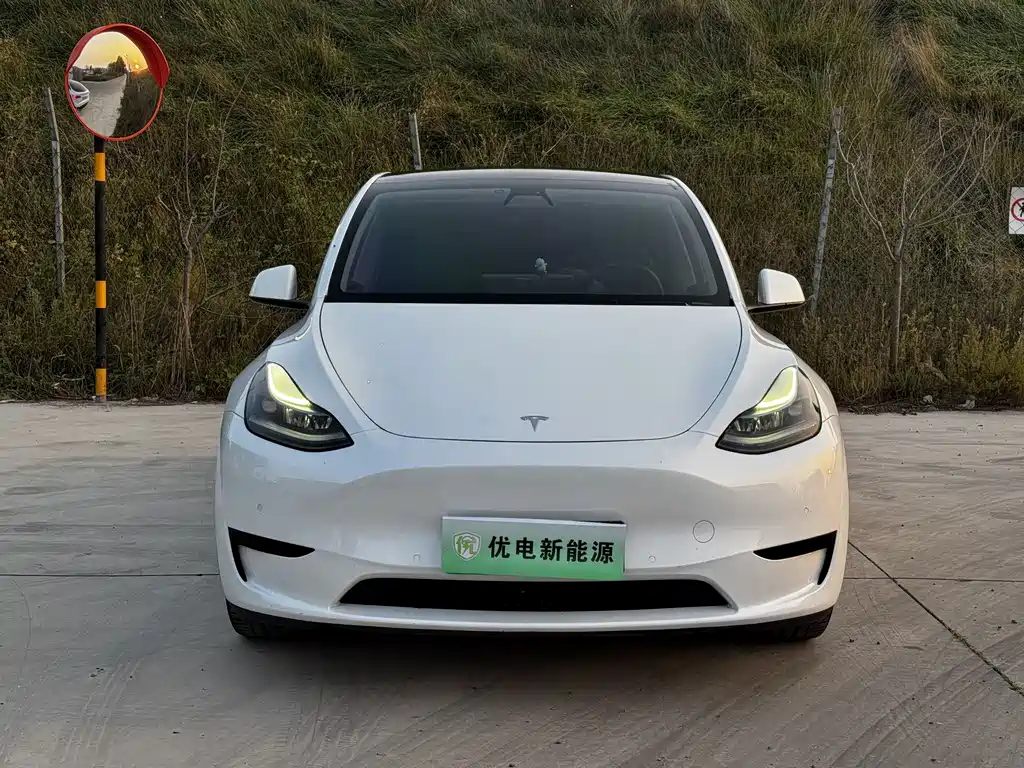 Tesla Model Y — фото 2