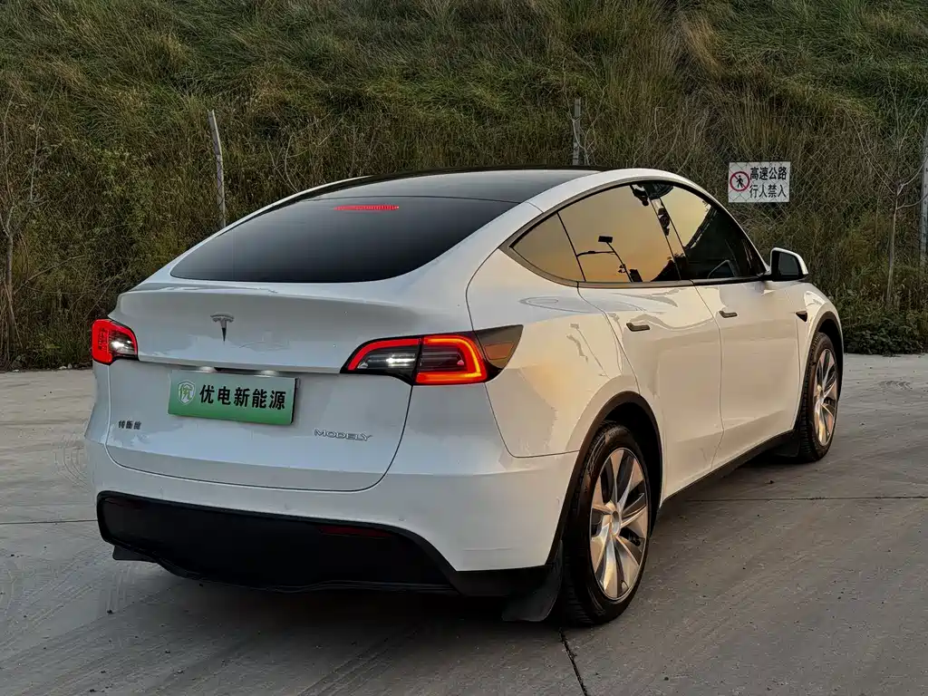 Tesla Model Y — фото 11