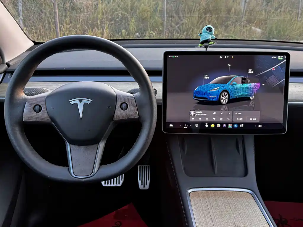 Tesla Model Y — фото 13