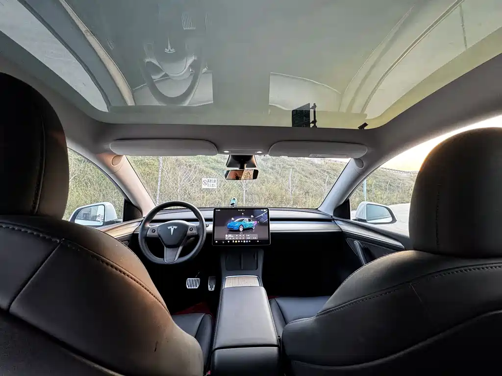 Tesla Model Y — фото 14