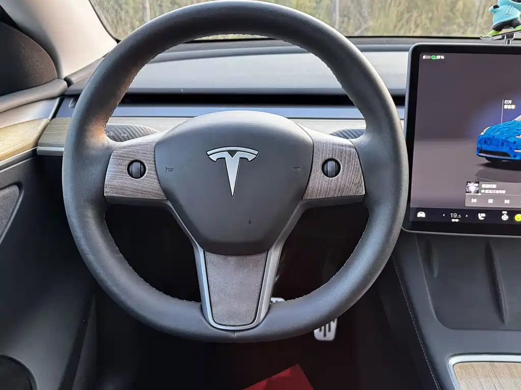 Tesla Model Y — фото 17