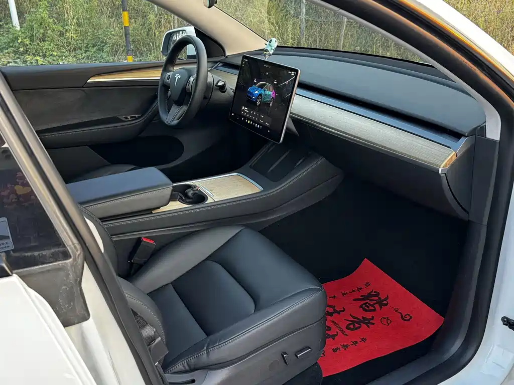 Tesla Model Y — фото 18