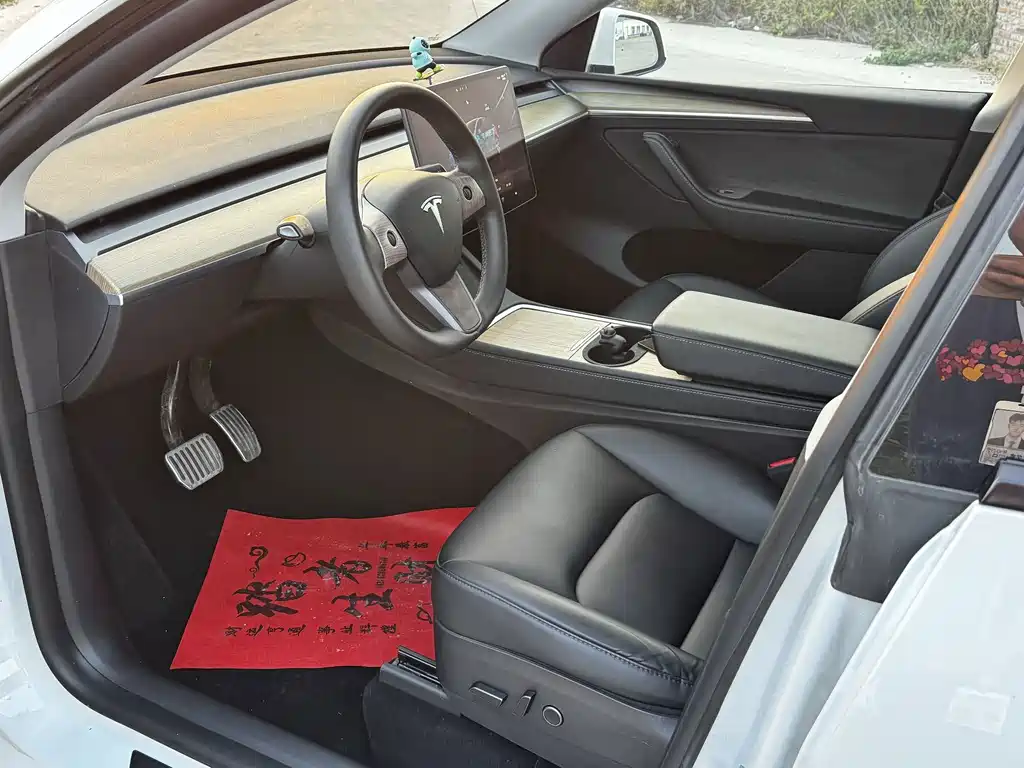 Tesla Model Y — фото 19