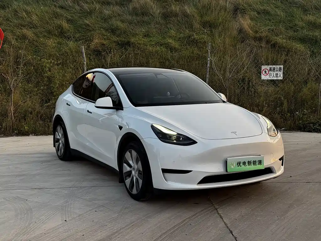 Tesla Model Y — фото 3