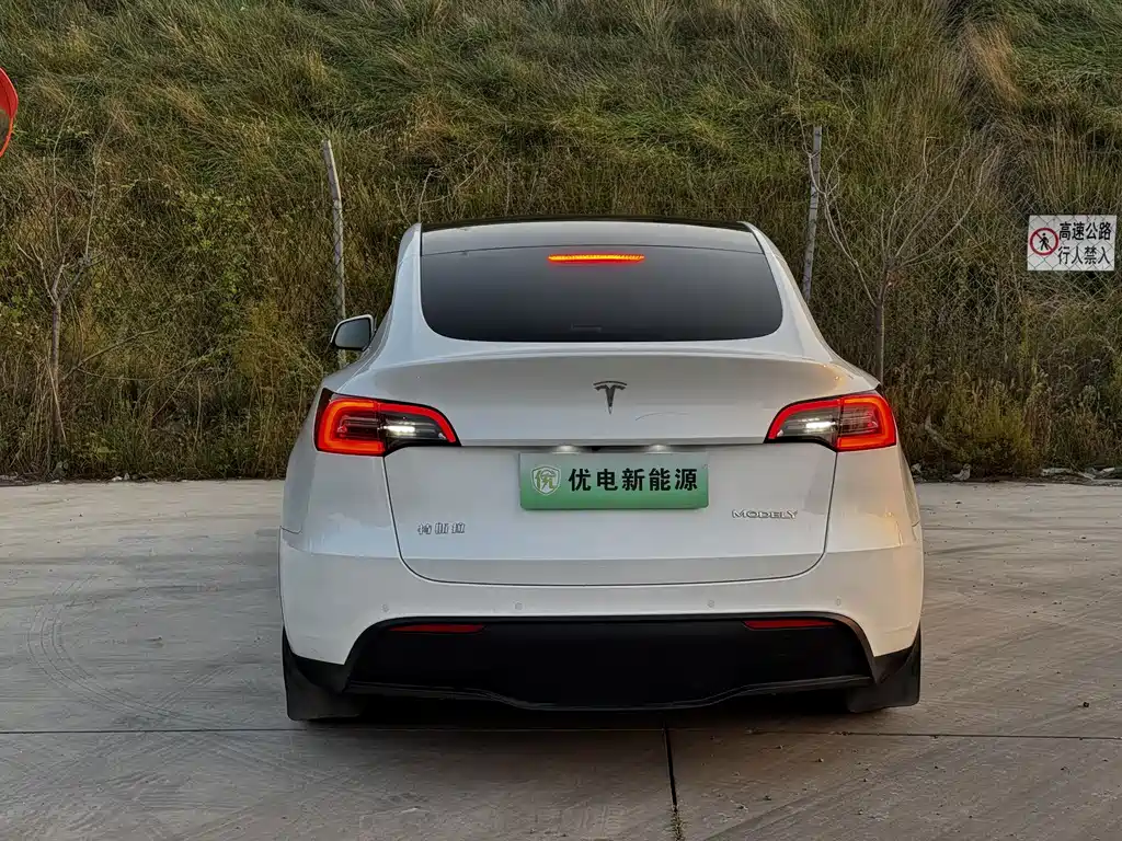 Tesla Model Y — фото 10