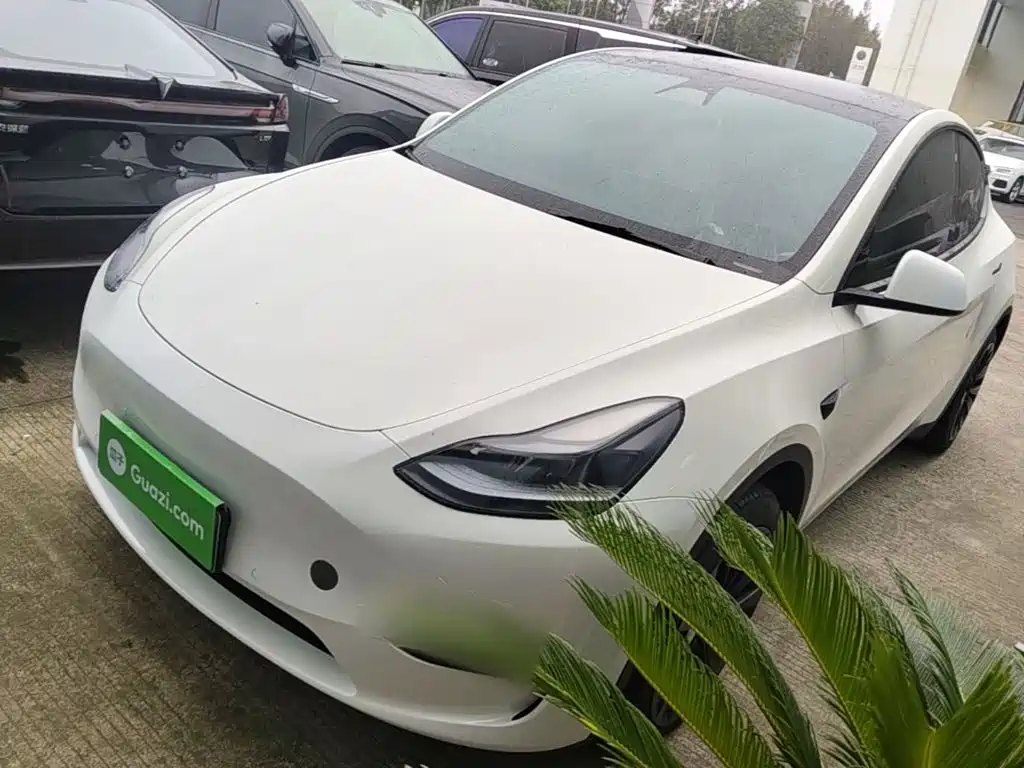 Tesla Model Y — фото 2