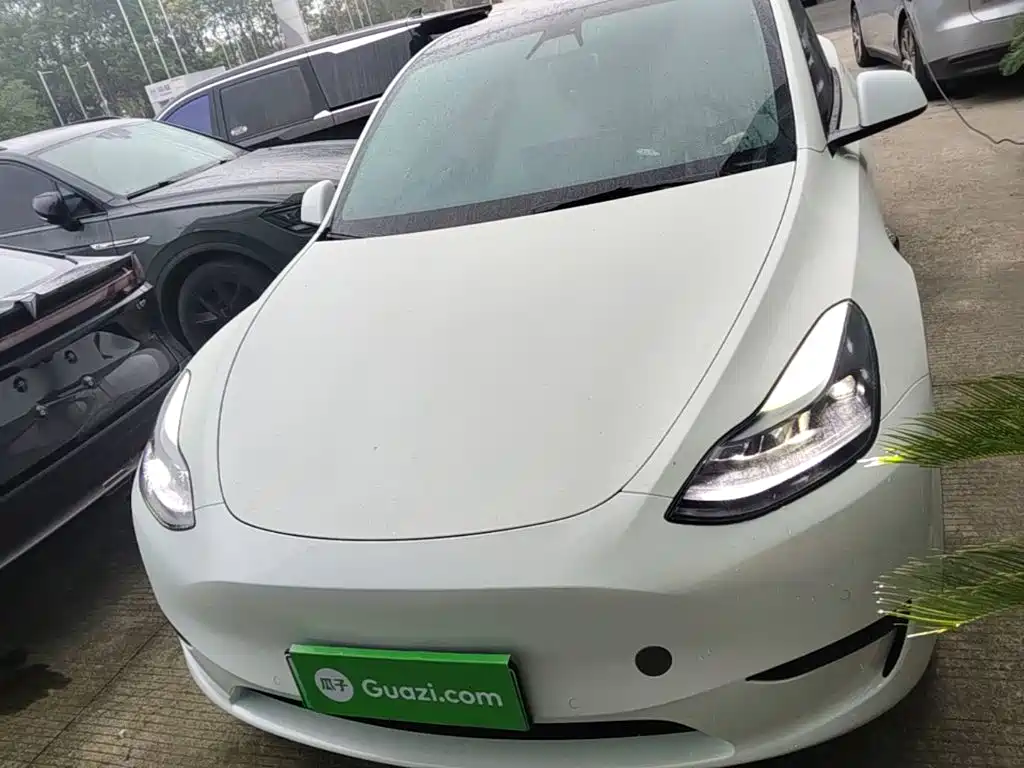 Tesla Model Y — фото 3