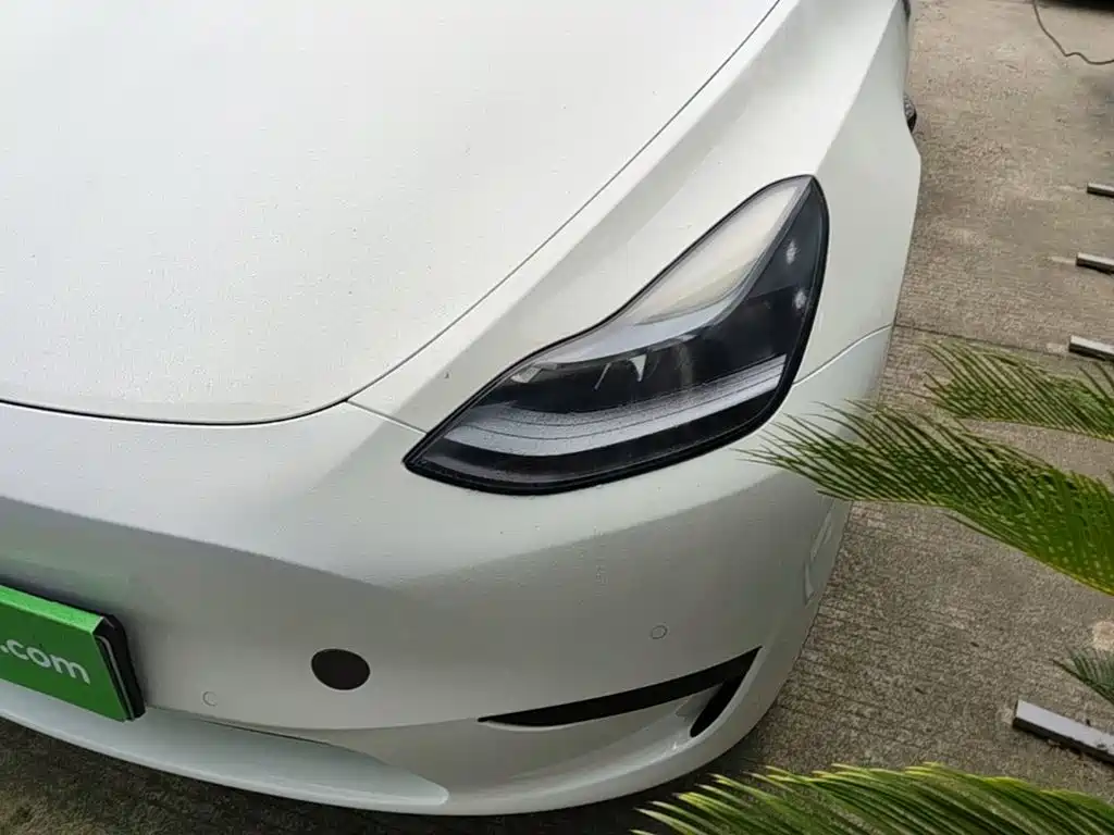 Tesla Model Y — фото 23