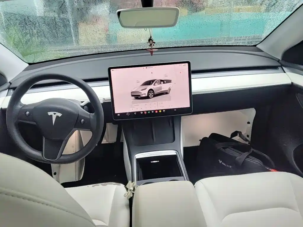 Tesla Model Y — фото 10
