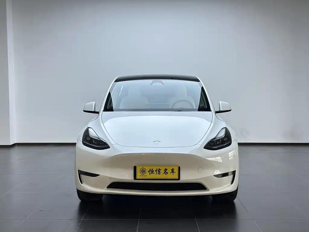 Tesla Model Y — фото 2