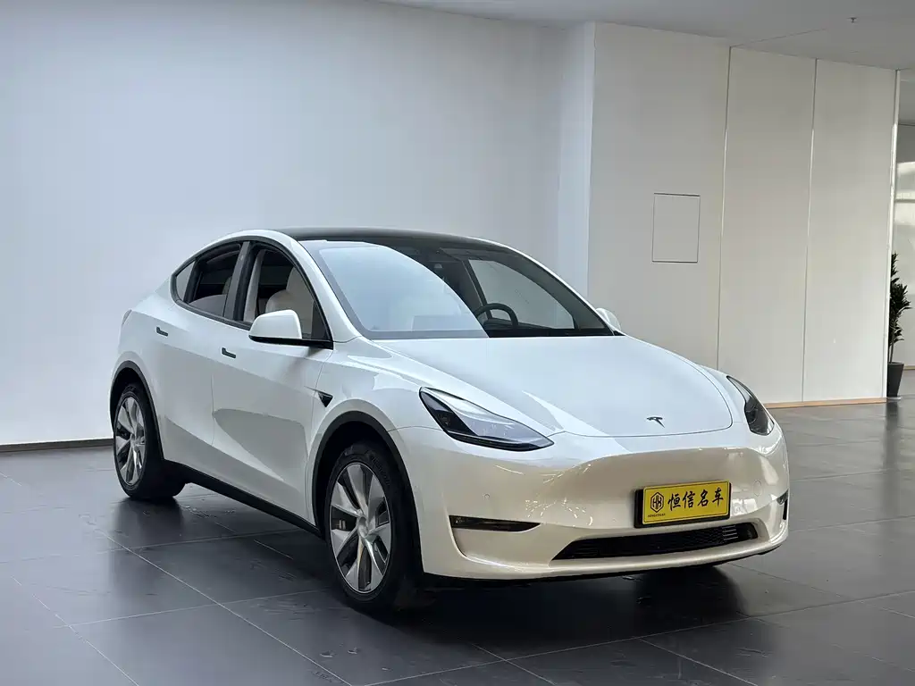 Tesla Model Y — фото 3