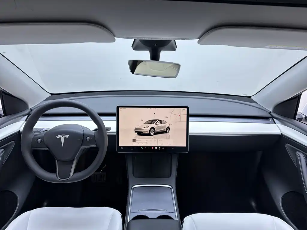 Tesla Model Y — фото 21