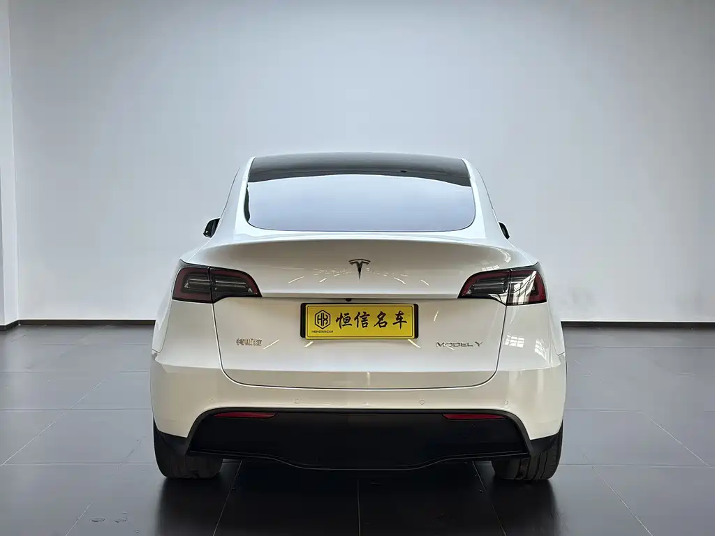 Tesla Model Y — фото 4
