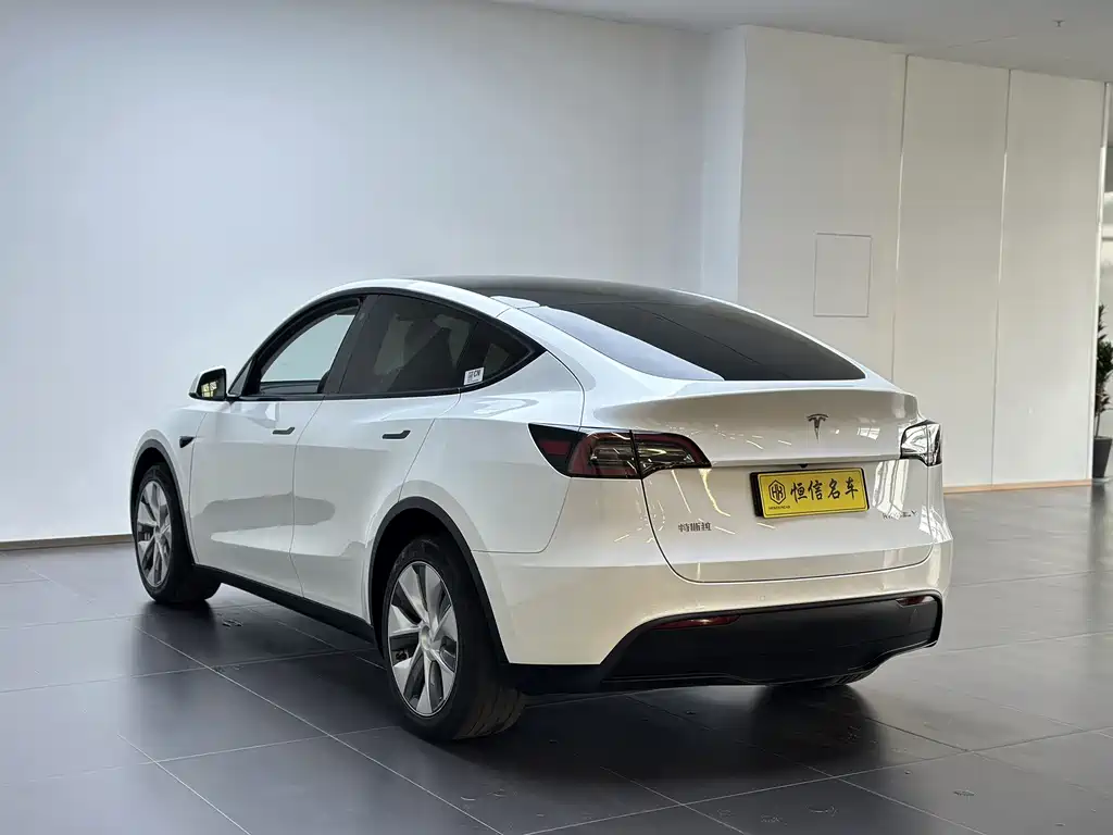 Tesla Model Y — фото 5