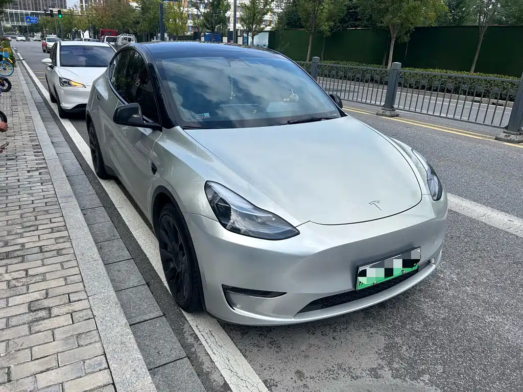 Tesla Model Y — фото 2