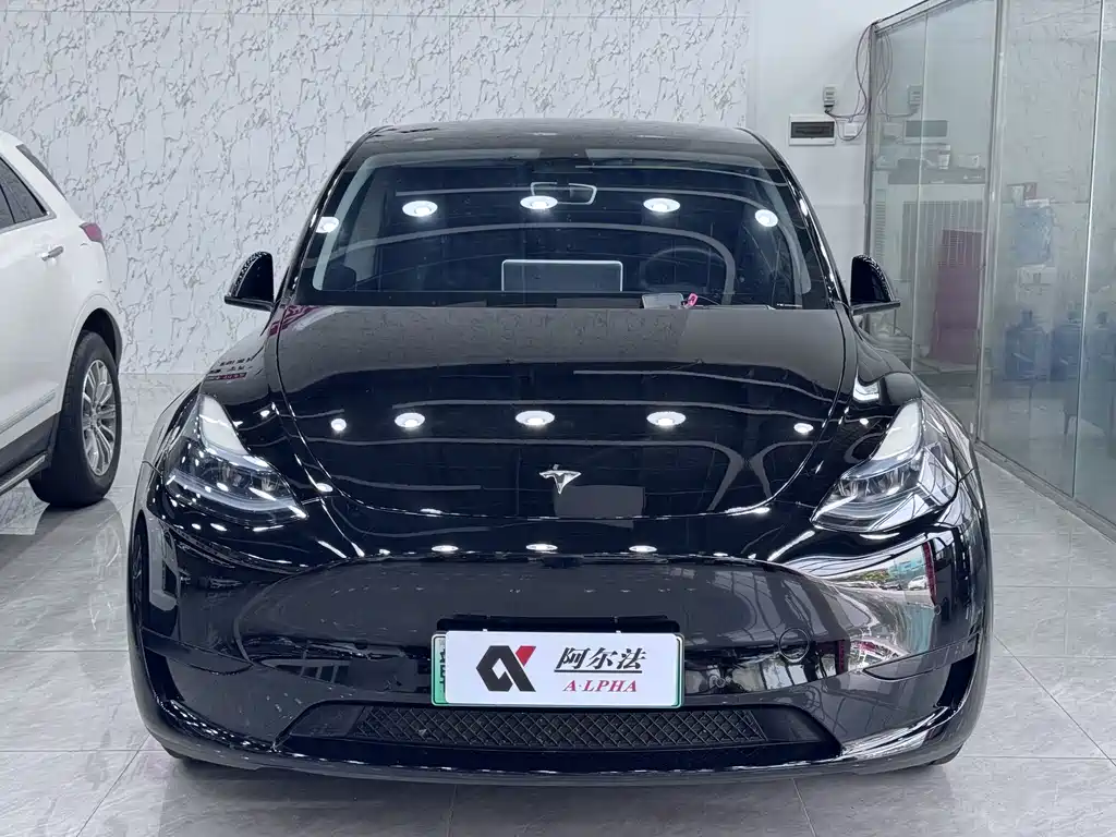 Tesla Model Y — фото 2