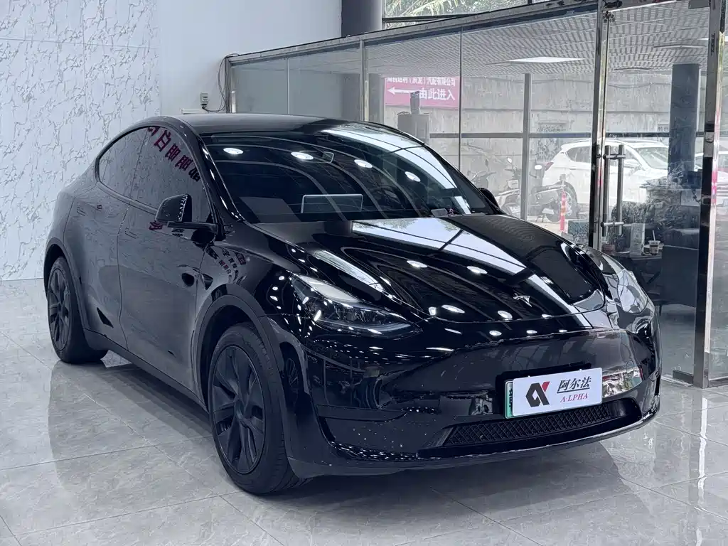 Tesla Model Y — фото 3