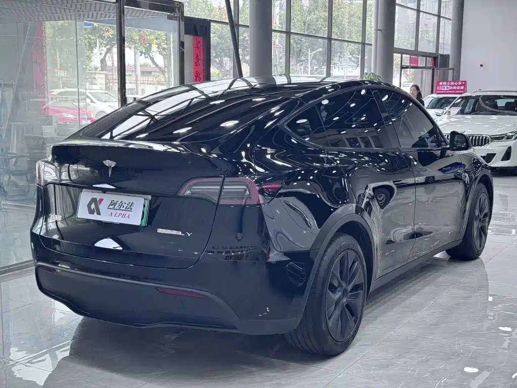 Tesla Model Y — фото 4