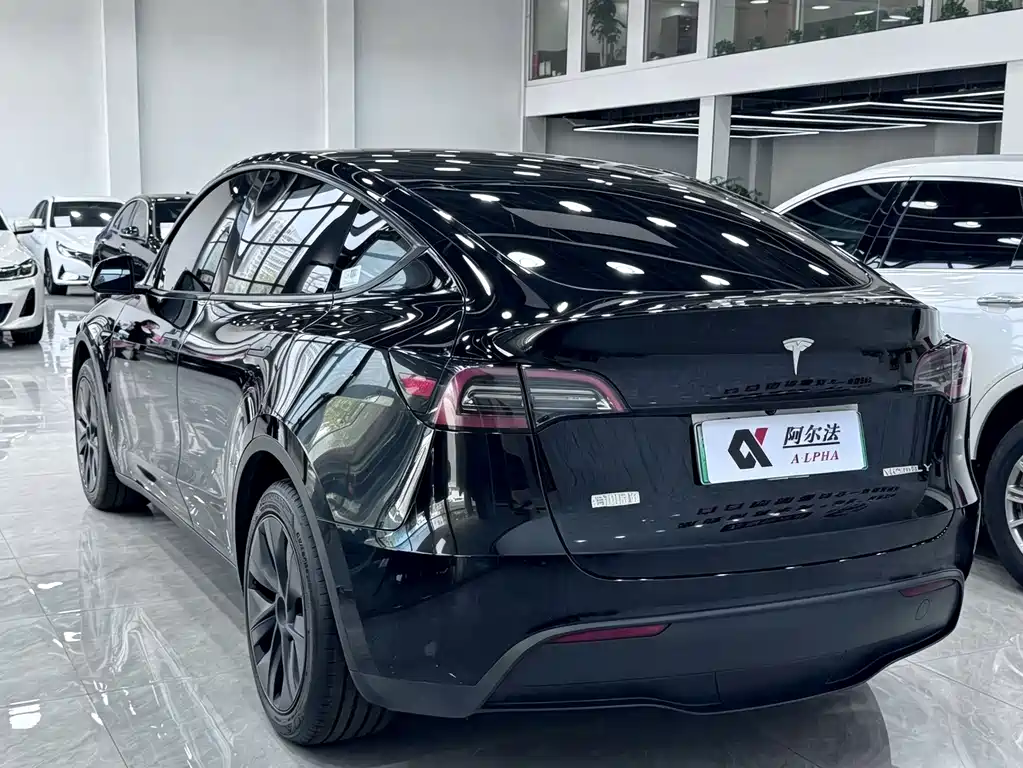 Tesla Model Y — фото 6