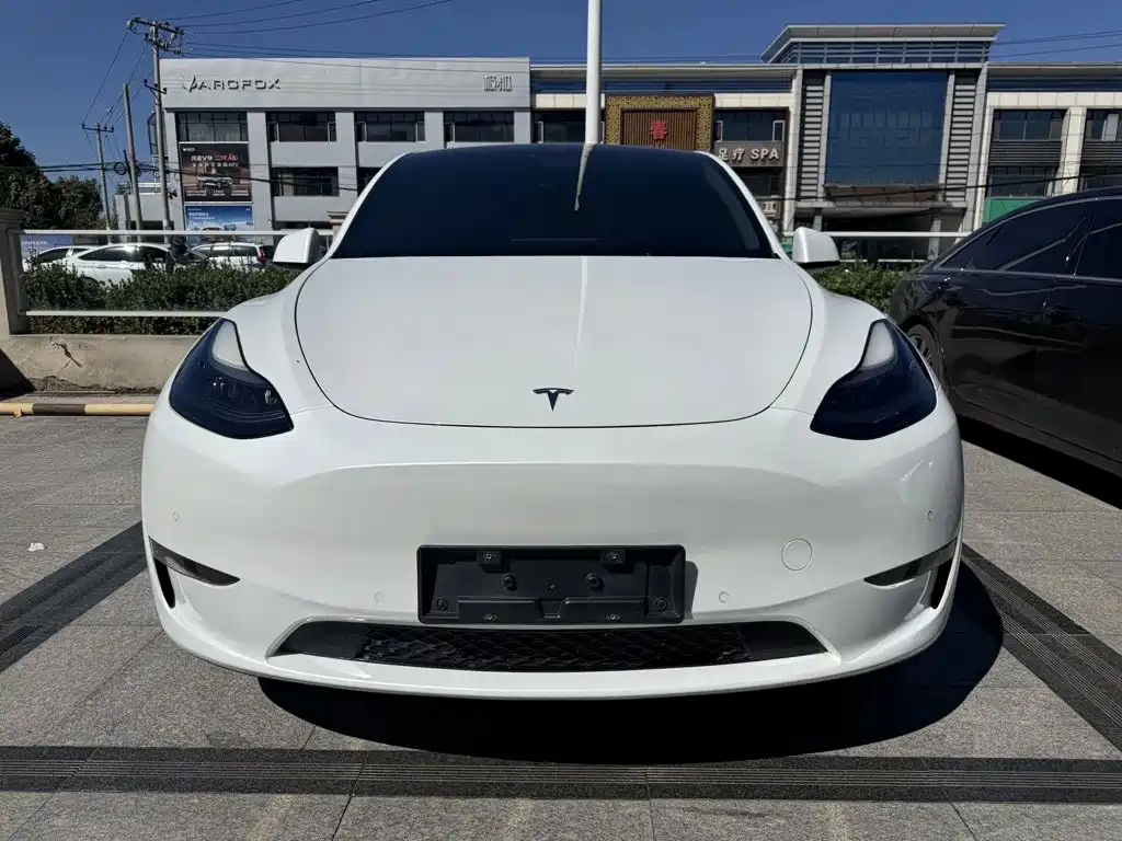 Tesla Model Y — фото 2