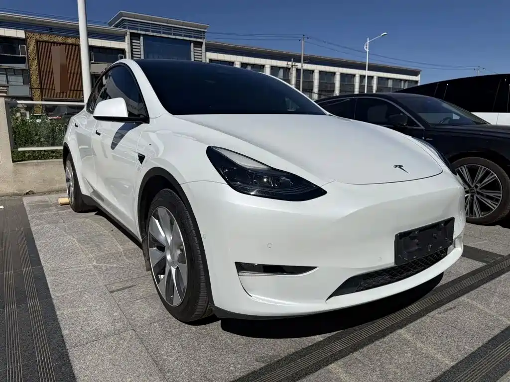 Tesla Model Y — фото 3