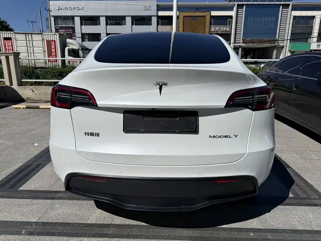 Tesla Model Y — фото 8