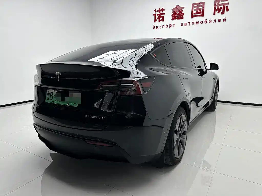Tesla Model Y — фото 6