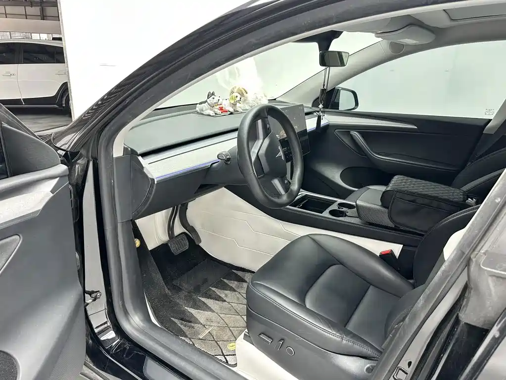 Tesla Model Y — фото 9