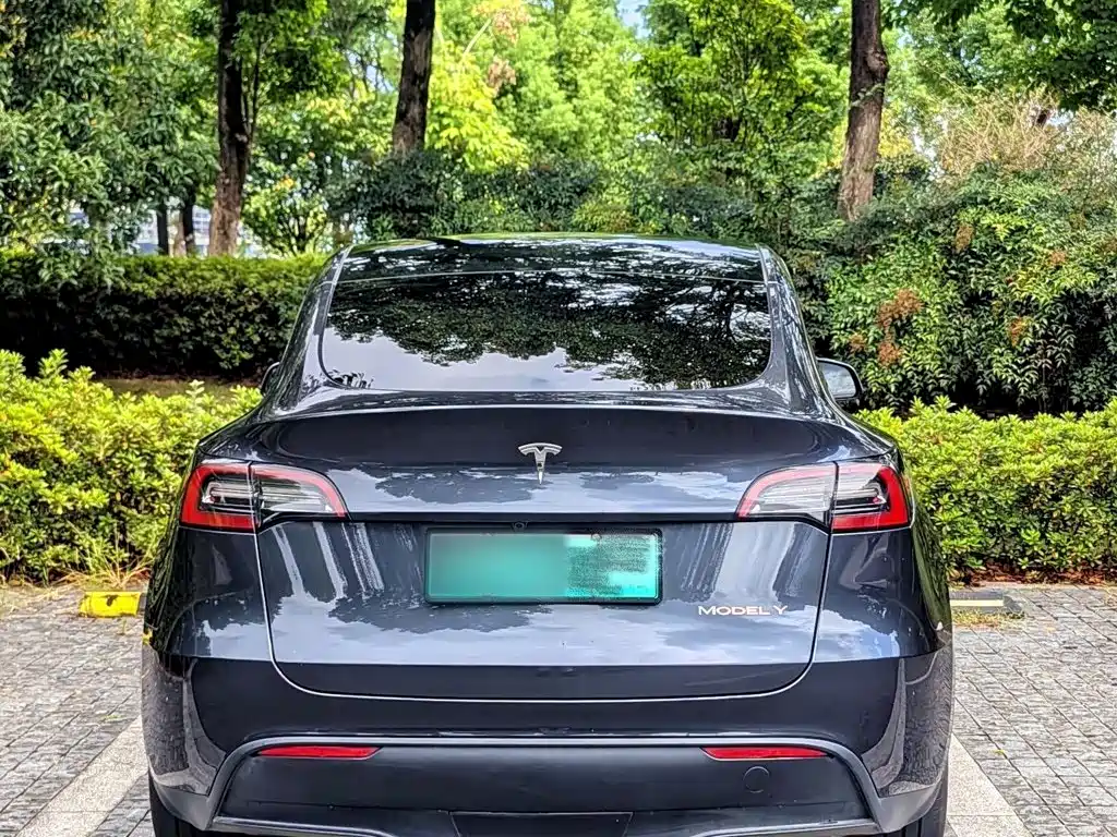 Tesla Model Y — фото 11