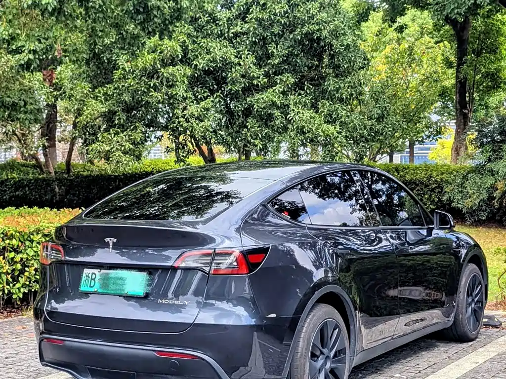 Tesla Model Y — фото 13