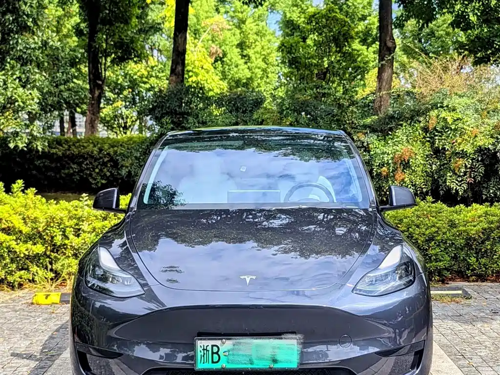 Tesla Model Y — фото 14