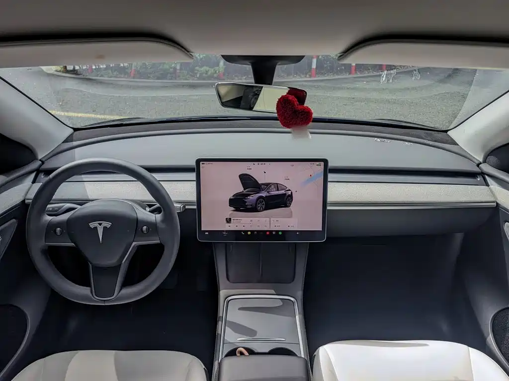 Tesla Model Y — фото 20