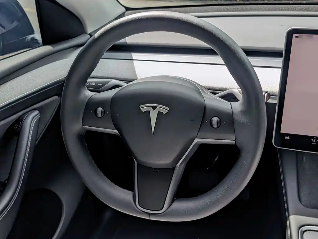 Tesla Model Y — фото 21