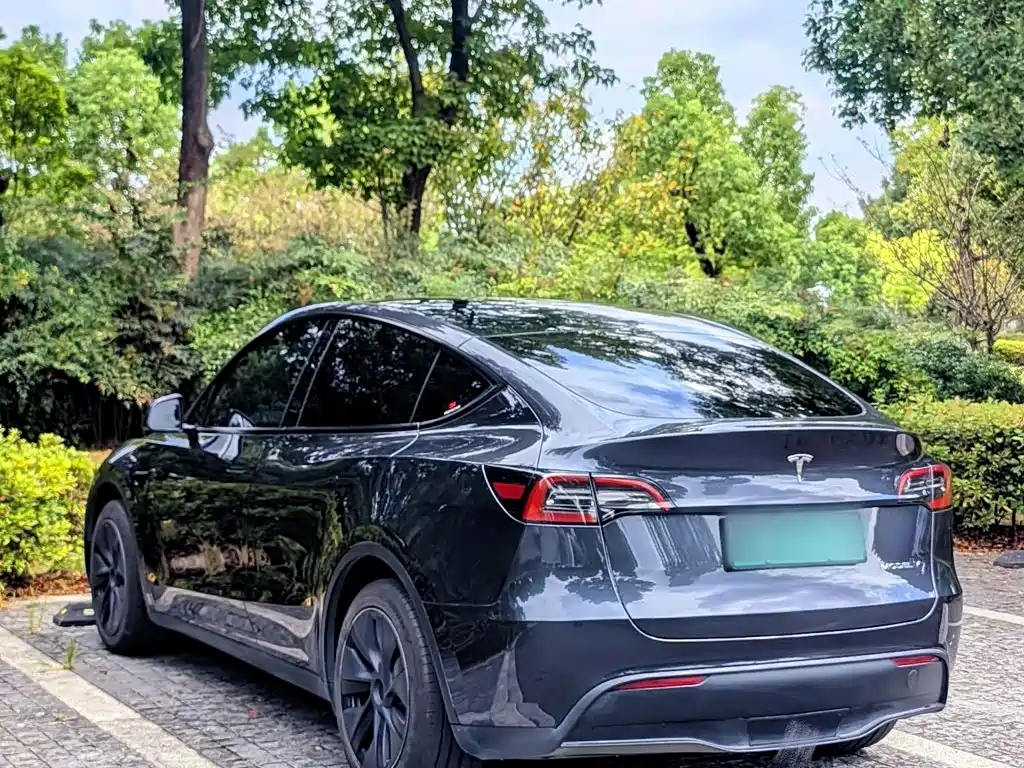 Tesla Model Y — фото 10